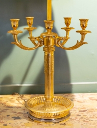 Paire de grandes lampes en bronze doré de style Louis XVI.