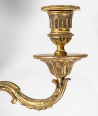 Paire d&#039;appliques du XIXème siècle en bronze doré, style Louis XVI