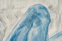 Peinture de Luez sur papier, faune, XXème siècle
