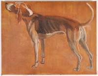 Huile sur toile, portrait de chien
