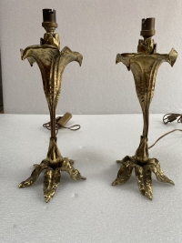 1900′ Paire De Lampes Fleurs En Bronze