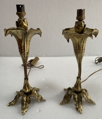 1900′ Paire De Lampes Fleurs En Bronze