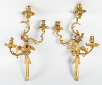 Paire d’appliques aux Perruches dans le gout de la Régence à trois lumières en bronze ciselé et doré XIXème siècle