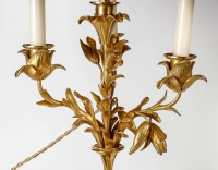 Paire de candélabres de style Louis XVI en bronze à décor de Faunes vers 1860-1880 montés en lampes