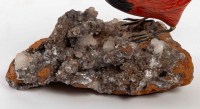 Oiseau en marbre, sculpté reposant sur une roche avec des cristaux Brut, XXème
