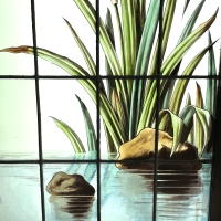 Vitrail vitraux iris et pavots