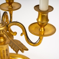 Grande Lampe Bouillotte en bronze doré Louis XVI. Circa 1920.