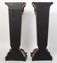Paire de colonnes en marqueterie d&#039;écailles de tortue. Monture en bronze doré et bien ciselé, XIXème siècle