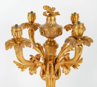 Paire de candélabres en bronze doré, époque Napoléon III, XIXème siècle