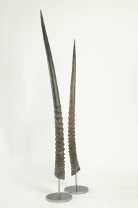Pair of African Antelope horns mounted on base of stainless steel.