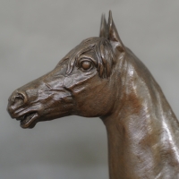Sculpture - Cheval Pur - Sang &quot;KAOLIN&quot; , Alfred Dubucand (1828-1894) - Bronze