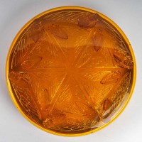 Boîte « Cigales » verre orange - base satin orange de René LALIQUE