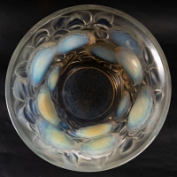 René Lalique (1860-1945) - Opalescent Vase &quot;Oran&quot;