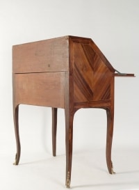 Sloping Desk, Louis XV Style, Precious Wood Veneer, 19th Century