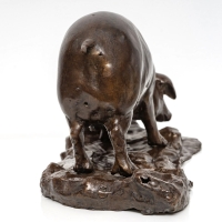 Sculpture - Truie Par Tommaso Campaiola - Bronze XIX ème Siècle
