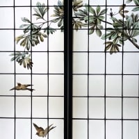 Vitrail vitraux Oiseaux et fleurs