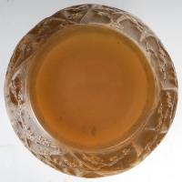 Vase &quot;Perruches&quot; verre butterscotch patiné sépia de René LALIQUE