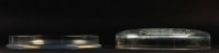 Rene Lalique : Opalescent Box &quot;Muguets&quot;