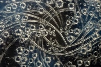 Rene Lalique : Opalescent Box &quot;Muguets&quot;