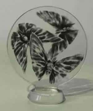 Cachet «Trois papillons» en verre translucide moulé-pressé à décor de papillons