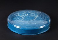 Boîte « Deux Sirènes » verre opalescent - base satin bleu de René LALIQUE