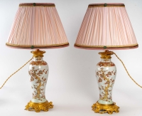 Paire de lampes en porcelaine chinoise fin XIXème siècle