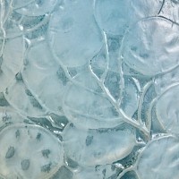 Vase &quot;Monnaie du Pape&quot; verre opalescent double couche patiné bleu de René LALIQUE