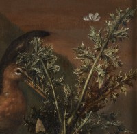 Sous-bois animé – Pieter van der Hulst IV (1651 – 1727)