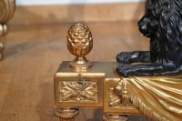Paire de chenets en bronze ciselé de style Louis XVI