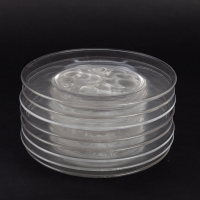 Service de 8 assiettes « Marienthal » cristal incolore de LALIQUE FRANCE d&#039;après un modèle de René LALIQUE
