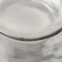 Vase « Hirondelles » verre blanc patiné bleu de René LALIQUE