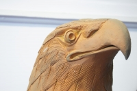 Extraordinaires sculptures représentant des  faucons