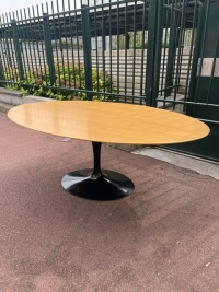 Eero Saarinen and KNOLL: TULIP oval table 198x121 cm