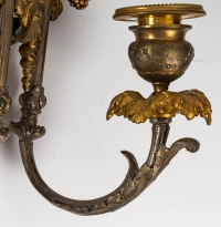 Paire d&#039;appliques en bronze doré et argenté fin XIXème siècle