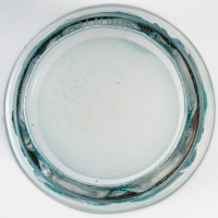 Vase &quot;Chevaux&quot; verre blanc patiné turquoise de René LALIQUE