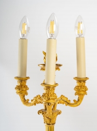 Paire de chandeliers en bronze doré du XIXème siècle
