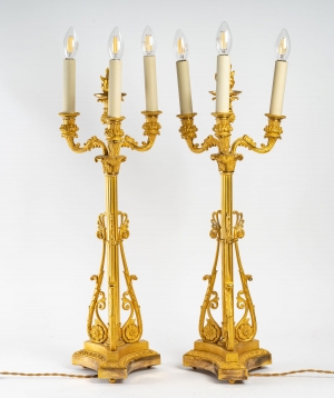 Paire de chandeliers en bronze doré du XIXème siècle||||||