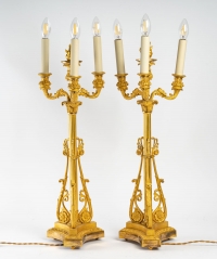 Paire de chandeliers en bronze doré du XIXème siècle