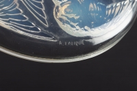 Boîte « Mésanges » verre opalescent de René LALIQUE