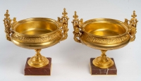Paire de coupes en bronze doré et marbre, XIXème siècle
