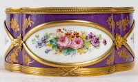 Très Belle jardinière en porcelaine de Sèvres, XIXème siècle