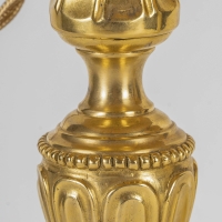 Paire de flambeaux en bronze ciselé et doré montés en lampes d’époque Louis XVI