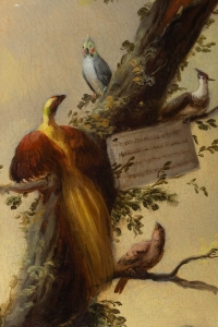 José Martorell. Le concert des oiseaux. XIX