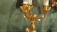 Paire de candélabres en bronze doré d&#039;époque NapoléonIII