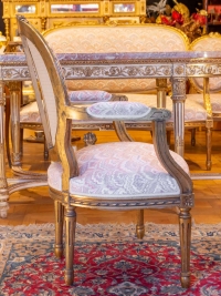 Salon 5 pièces de style Louis XVI époque Napoléon III