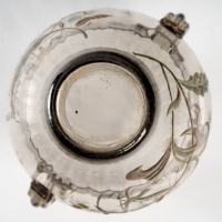 Vase Cristallerie à anses verre gris émaillé d&#039;iris et d&#039;une libellule de Emile Gallé