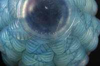 Vase « Moissac » verre opalescent patiné bleu de René LALIQUE