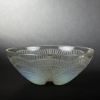 René LALIQUE (1860-1945 ) Coupe « Coquille n° 2 » | Biron |||