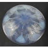 René Lalique coupe « oeillet » Opalescente | Biron René Lalique coupe "oeillet" Opalescente