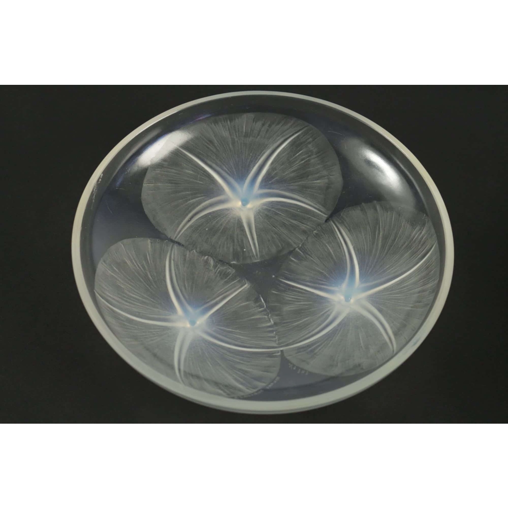 René LALIQUE (1860-1945) : Coupe « Volubilis » Opalescente . | Biron |||||